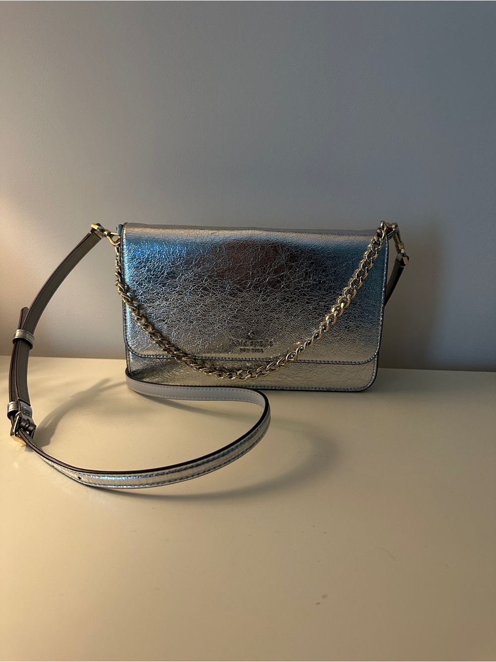 Metallic Silver Chain-Trim Crossbody Bag